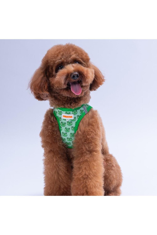 Frog Air-Mesh Göğüs Tasması Kedi Köpek Göğüs Tasması Kurbağa Desenli Köpek Tasması