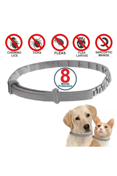 Kedi-Köpek Anti Pire Kene Önleyici Tasma- 38 Cm Pire Önleyici Tasma-Kene Önleyici Tasma
