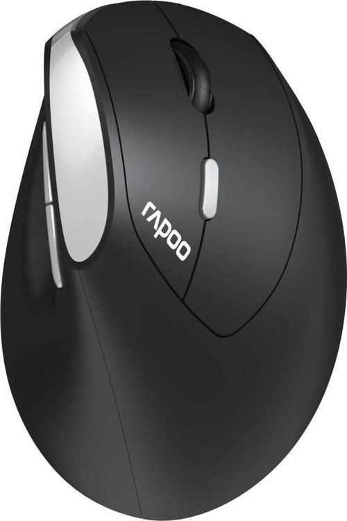 EV250 EV250 13531 1600DPI Ergonomik siyah Kablosuz Mouse