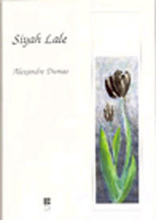 Bilge Kültür Sanat Siyah Lale