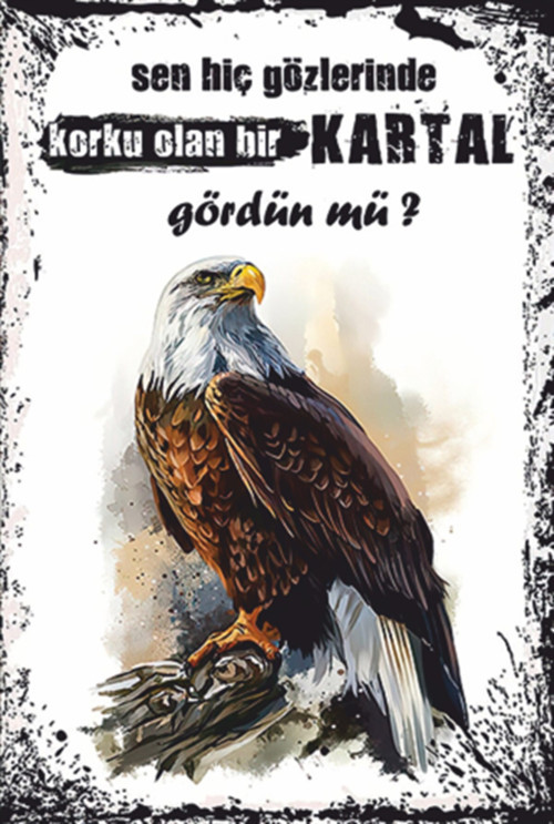 Kartal Retro Ahşap Poster 20x30