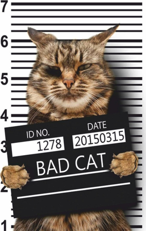 Suçlu Kötü Kedi Retro Ahşap Poster 20x30