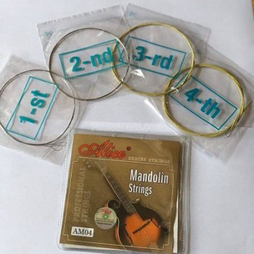 AM04 MANDOLİN TELİ