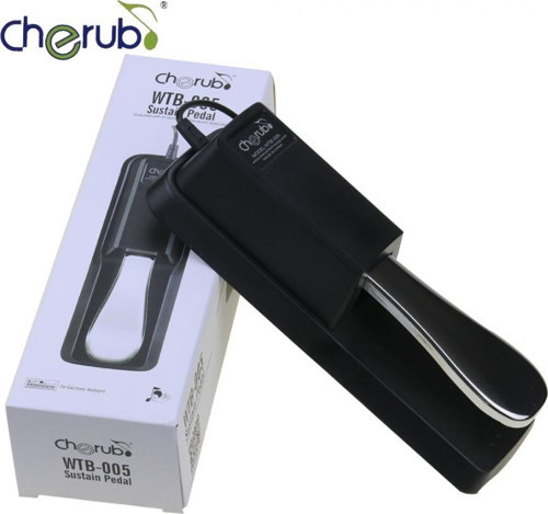 WTB-005 SUSTAİN PEDAL