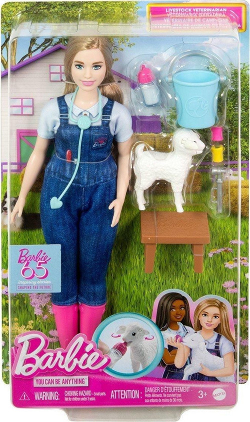 HRG42 Barbie 65. Yıl Deluxe Kariyer Bebekleri - Veteriner Kız Erkek Çocuk Oyuncak Eğitici Oyuncaklar