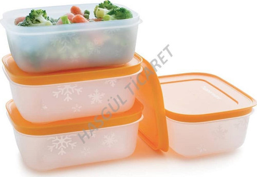 ALASKA SET 4'LÜ 450 ML DERİN DONDURUCU BUZLUK KABI HSGL