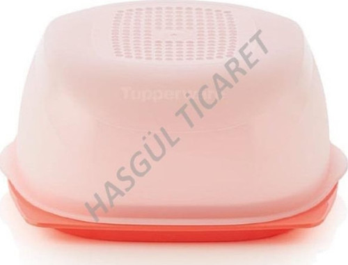 PEYNİR DÜNYASI MİNİ PEYNİR SAKLAMA KABI TURUNCU HSGL