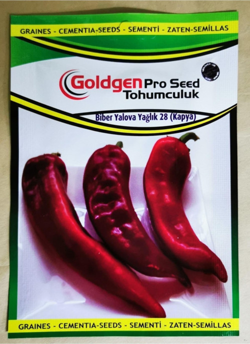 Goldgen Pro Seed Biber Tohumu (Kapaya Yağlık)
