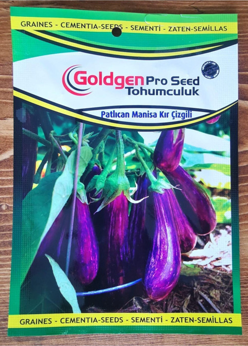 Goldgen Pro Seed Patlıcan Manisa Kır Çizgili