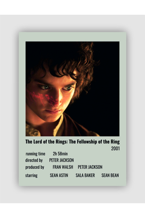 The Lord Of The Rings: The Fellowship Of The Ring Film Info Card Bilgi Kartı Duvar Posteri