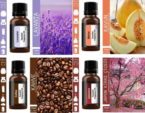 4 Adet Esans Uçucu Yağ Kokusu Buhurdanlık Difüzör Hava Nemlendirici Kokusu Difüzör Koku Aromatik