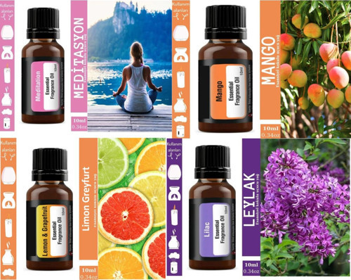 4 Adet Esans Uçucu Yağ Kokusu Buhurdanlık Difüzör Hava Nemlendirici Kokusu Difüzör Koku Aromatik