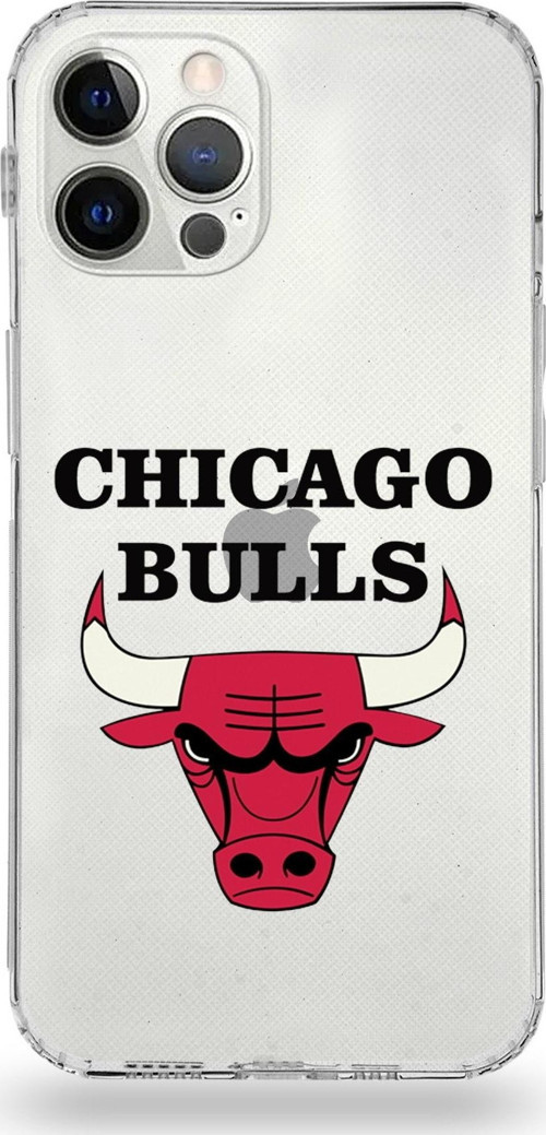 Apple Iphone 12 Pro Uyumlu Kamera Korumalı Kapak Chicago Bulls Tasarımlı Şeffaf Kılıf