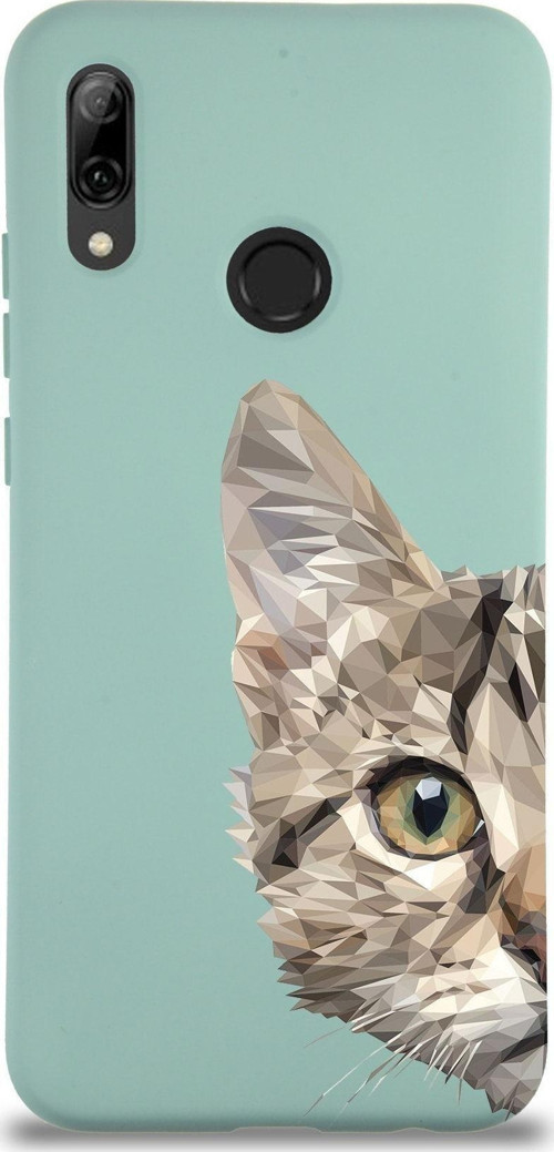 Huawei P Smart 2019 Uyumlu Lansman Kılıf Catface Tasarımlı Içi Kadife Kapak-Turkuaz