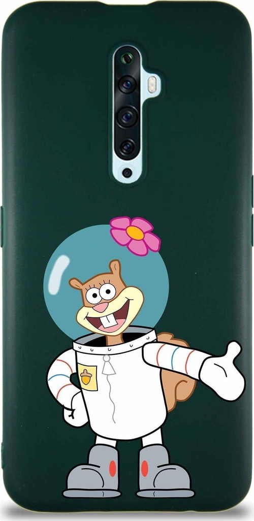 Oppo Reno 2Z Soft Premier Kapak Sandy Tasarımlı Silikon Kılıf - Yeşil