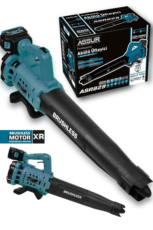 Profesyonel 21 V Çift Akülü Turbo Motor 2800 Rpm Yaprak Hava Üfleme Makinesi