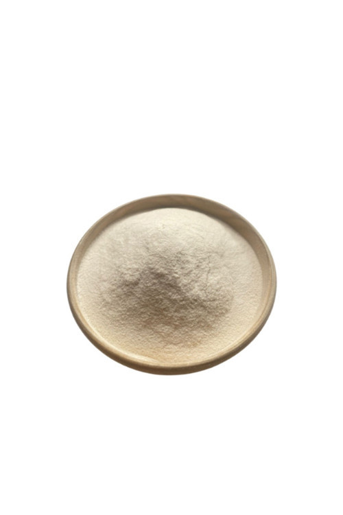 Agar Agar Tozu 500 Gr