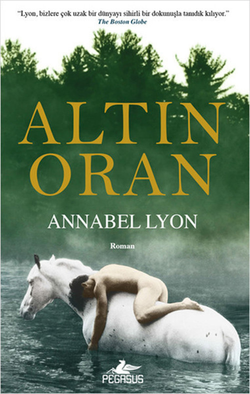 Pegasus Yayınevi Altın Oran