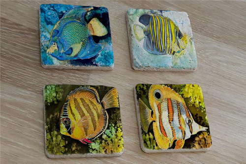 Renkli Balıklar Doğal Taş Bardak Altlığı 4'lü set - Natural Stone Coasters
