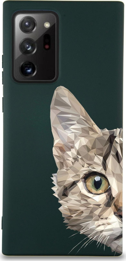 Samsung Galaxy Note 20 Plus Uyumlu Lansman Kılıf Catface Tasarımlı Içi Kadife Kapak-Yeşil