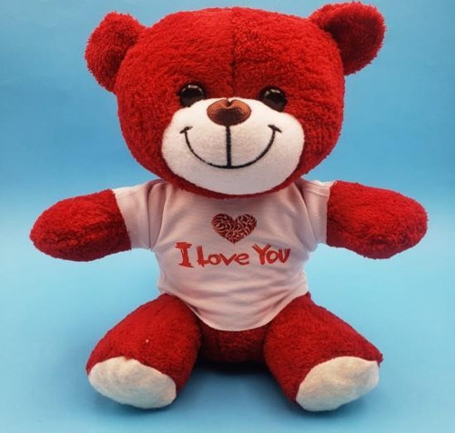 Kırmızı I Love You Peluş Ayıcık
