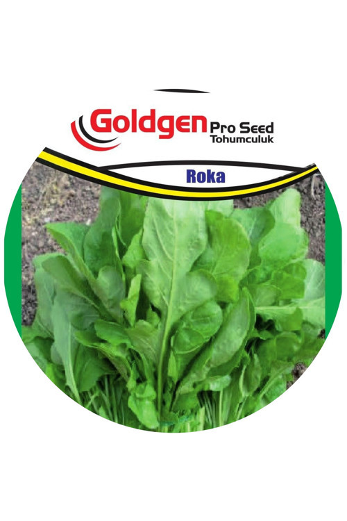 Roka Tohumu (Geniş Yaprak)