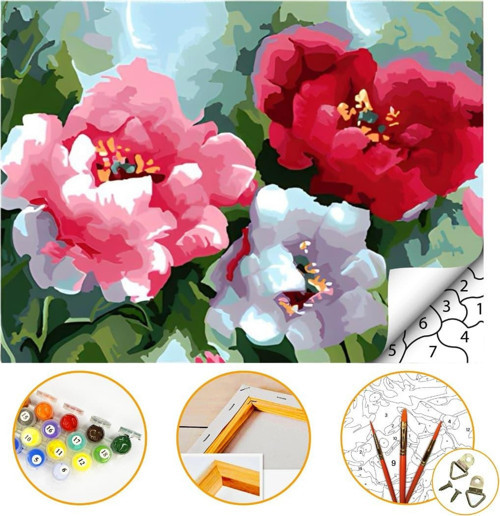 Çiçek - Sayılarla Boyama Seti Kasnağa Gerili 40x50cm Boyalar ve Fırçalar Dahil