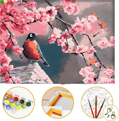 Kuş ve Çiçek - Sayılarla Boyama Seti Kasnağa Gerili 40x50cm Boyalar ve Fırçalar Dahil