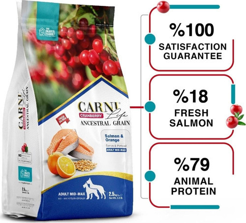 Cranberry Somon,Portakal Medium Maxi Köpek Mamasi 2,5 Kg
