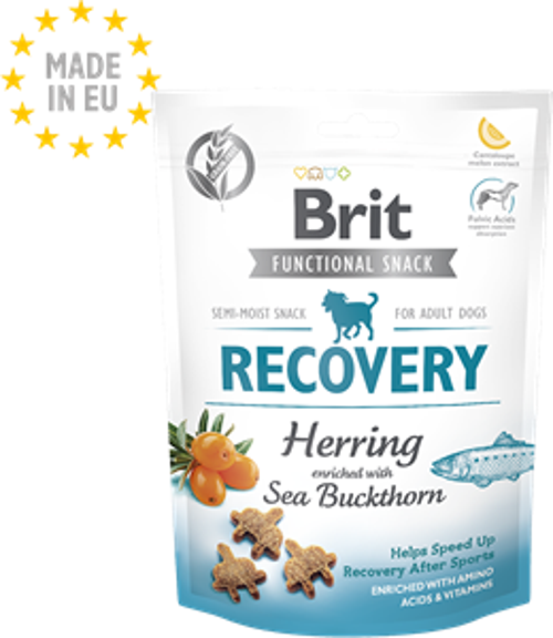 Recovery Ringa Balıklı Köpek ödül Maması 150 gr