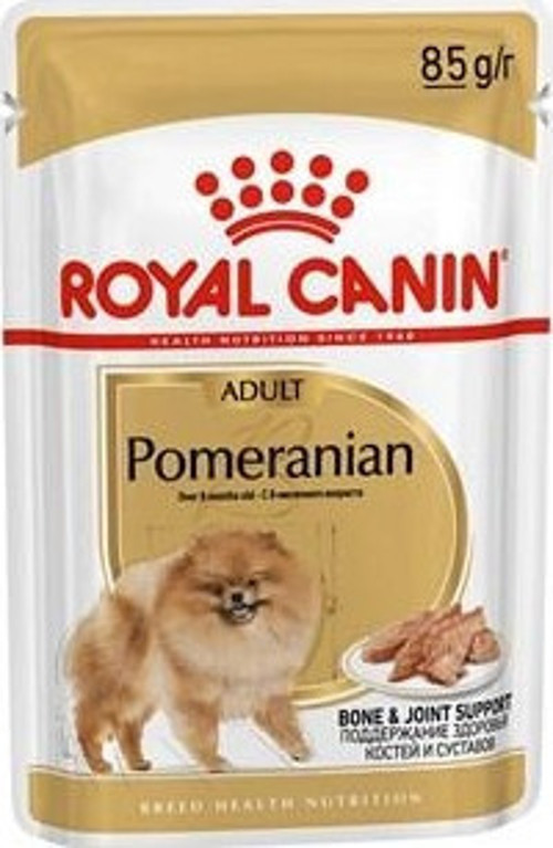 Pomeranian Köpek Pounch 85G