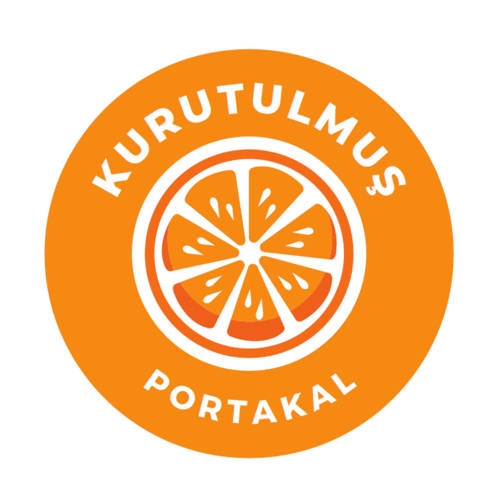 Kurutulmuş Portakal Sticker 100 Adet