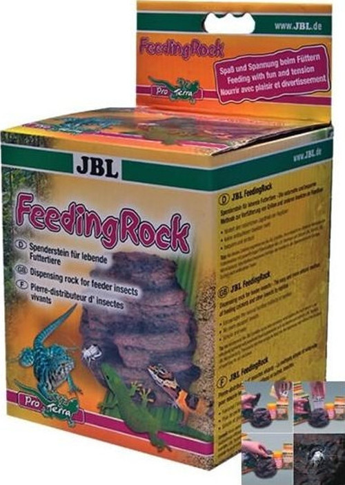 Feeding Rock (Beslenme Kayası)