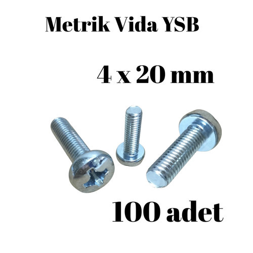 Metrik Vida YSB 4X20 100 Adet Yıldız Silindir Başlı Vida