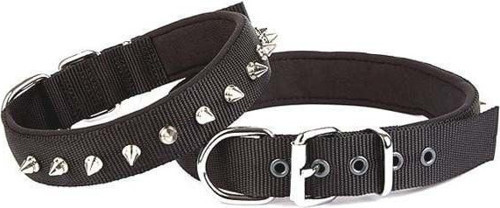 Comfort Dokuma Çivili Köpek Boyun Tasması Medium Siyah 3x42-50 Cm