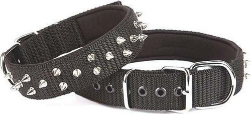 Comfort Dokuma Çivili Köpek Boyun Tasması Small Siyah 4x47-55 Cm