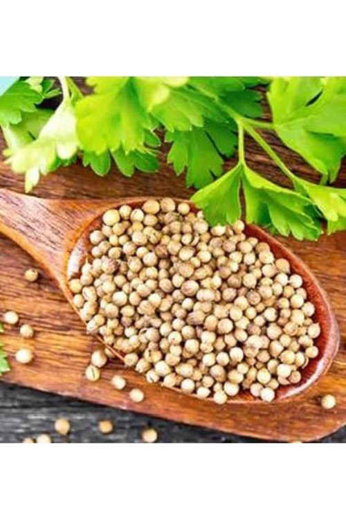 Kişniş (Aşotu) Tohumu 250 Gr