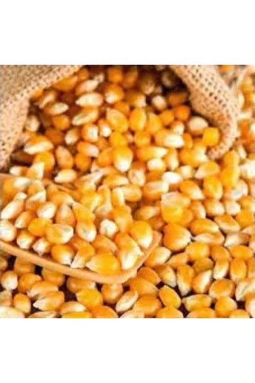 Patlaklık Mısır 500 Gr