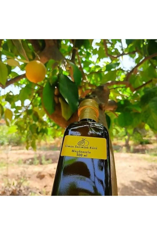 Limon Sarımsak Kürü Maydanozlu 500 Ml