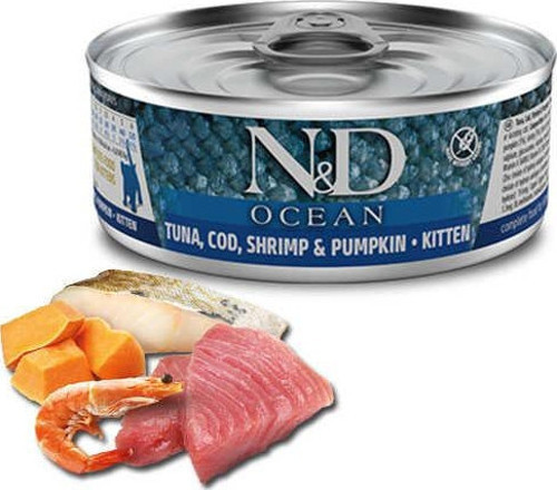 Ocean Morina & Karides Balkabağı Yavru Kedi Konservesi 80 Gr - KONG