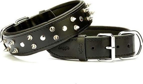 Comfort Deri Çivili Köpek Boyun Tasması Small Siyah 4x47-55 Cm