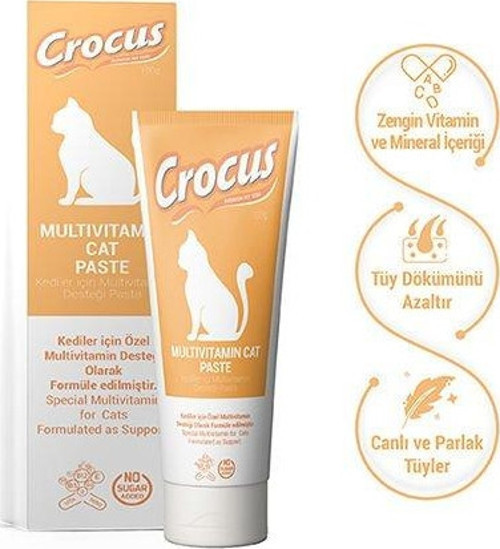 Kedi Multivitamin Macun 100 Gr
