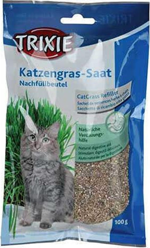 Yavru Ve Yetişkin Kedi Çimi (Yumuşak) - KONG