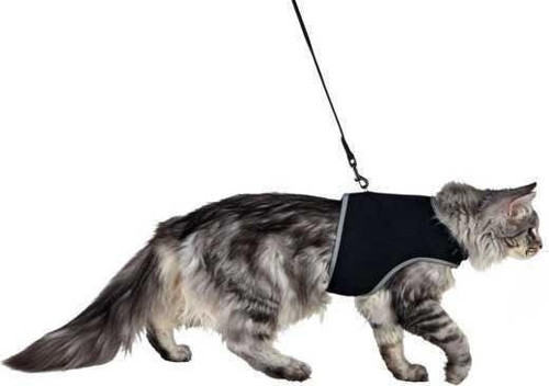 Kedi Göğüs Tasma Seti XL 36-54cm 120cm-KONG