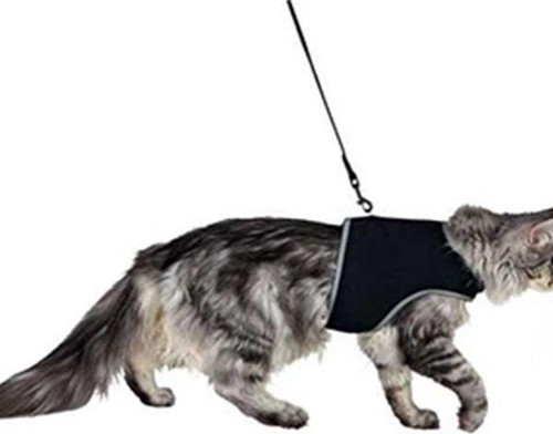 Kedi Göğüs Tasma Seti, XL, 36-54cm, 120cm - KONG
