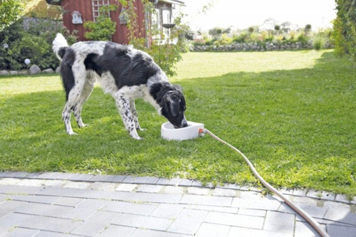 Köpek Kedi Suluğu, 1,5lt 24 x 10 x 23cm - KONG