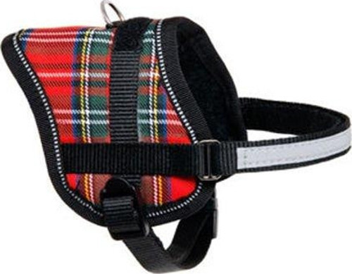 Eeny Mini Göğüs Tasma 26-35 cm Ekose - KONG