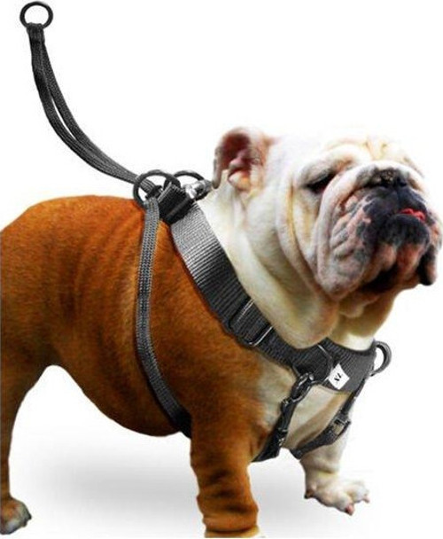 Easy Walker Köpek Göğüs Tasması XLarge 58x84 Cm