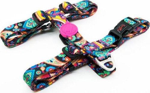 Paisley Desenli Köpek Boyun Tasması Xsmall 19-33x22-37 Cm