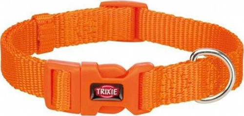 Köpek Premium Boyun Tasması S Turuncu - KONG
